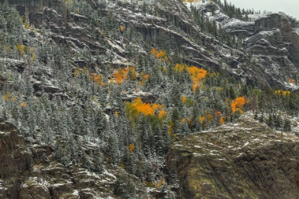 Picture of MOUNTAIN LACE AND AUTUMN POCKETS