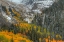 Picture of MOUNTAINS AND ASPENS