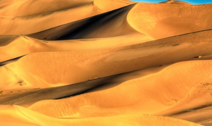 Picture of SAND DUNE PATTERNS
