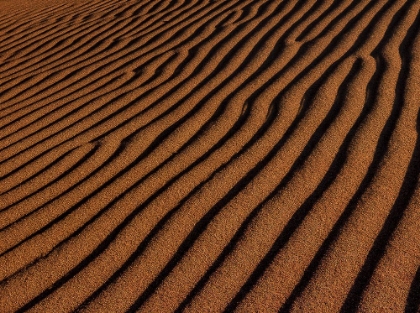 Picture of SAND RIPPLES