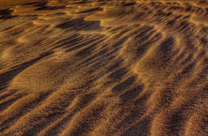 Picture of SANDWAVES
