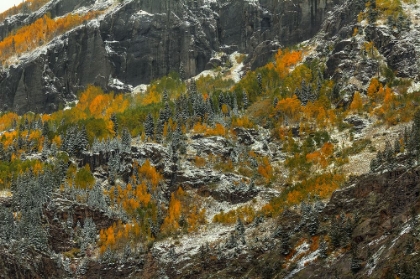 Picture of SHEER CLIFFS AND DAZZLING COLOR
