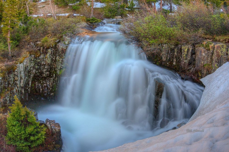 Picture of SPRING THAW