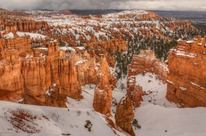 Picture of STORM BREWING OVER BRYCE CANYON