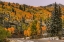 Picture of SWITCHBACK AUTUMN