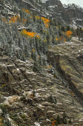 Picture of WHITE LACE AND AUTUMN SLIVERS