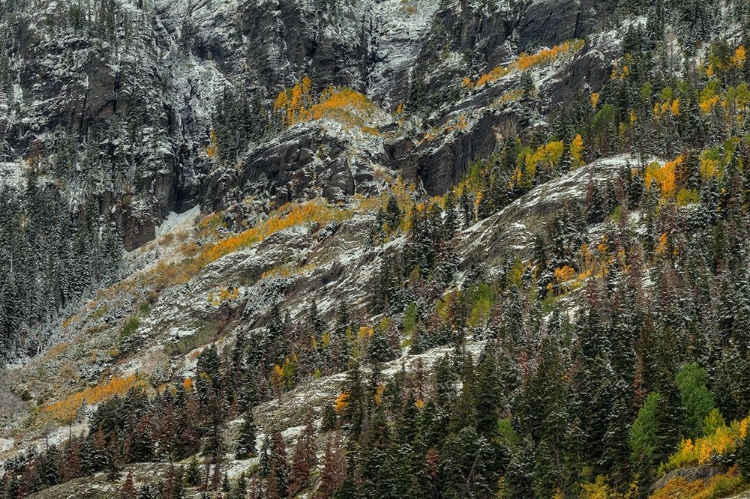 Picture of WHITE LACE AND COLORED RIDGES