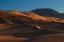 Picture of WITHIN THE REALM OF LIGHT AND SHADOW