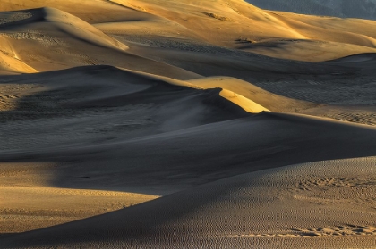 Picture of THE GREAT DUNES-SHAPED BY THE WIND