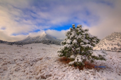 Picture of THE MAGICAL FLATIRONS