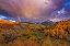 Picture of THE REAL GOLD OF COLORADO