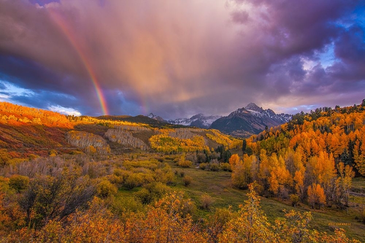 Picture of THE REAL GOLD OF COLORADO