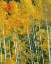 Picture of THE WONDER OF AUTUMN