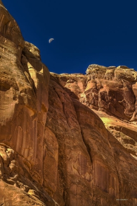 Picture of TOWERING MOON