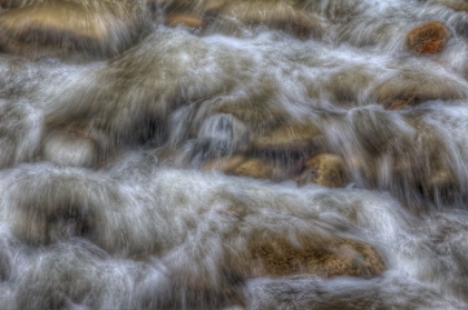 Picture of WATER RUSH