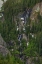 Picture of WATERFALLS AND GREEN TREES