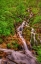 Picture of WATERFALLS IN PARADISE