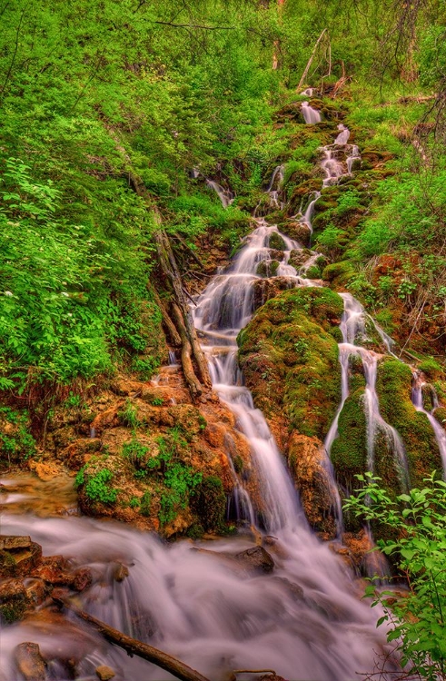 Picture of WATERFALLS IN PARADISE