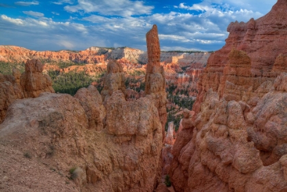Picture of A JOURNEY THROUGH BRYCE CANYON-UTAH