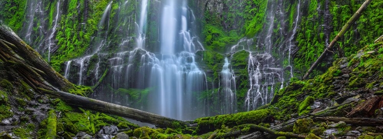 Picture of AN ENCOUNTER WITH PARADISE-PANO