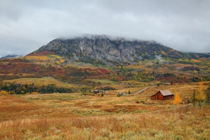 Picture of AUTUMN BARN AT DEEP CREEK MESA