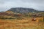Picture of AUTUMN BARN AT DEEP CREEK MESA