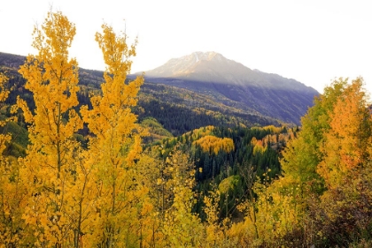 Picture of AUTUMN MEETS MORNING MOUNTAIN SUNSHINE
