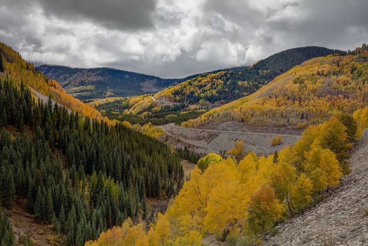 Picture of AUTUMN ROADS