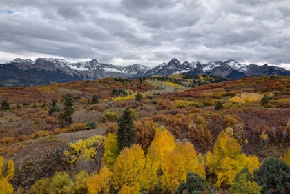 Picture of AUTUMN STORM OVER DALLAS DIVIDE 1