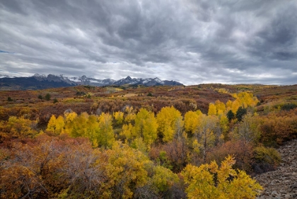 Picture of AUTUMN STORM OVER DALLAS DIVIDE 2
