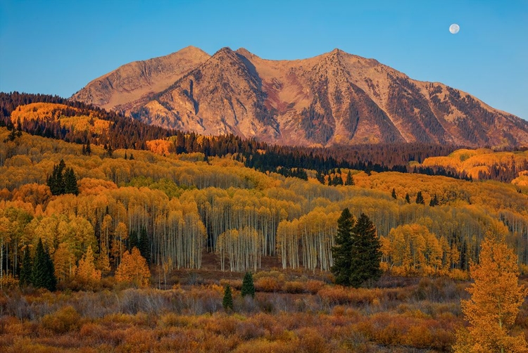 Picture of AUTUMN SUNRISE OVER EAST BECKWITH MOUNTAIN 1