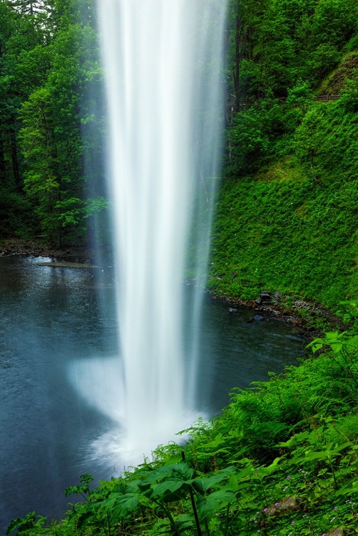 Picture of BEAUTY BEHIND A WATERFALL