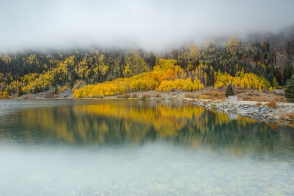 Picture of DREAMY AUTUMN REFLECTION