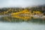 Picture of DREAMY AUTUMN REFLECTION