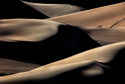 Picture of DUNE PATTERNS 1