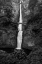 Picture of MULTNOMAH FALLS 1