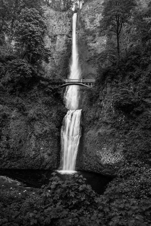 Picture of MULTNOMAH FALLS 1