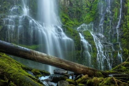 Picture of PROXY FALLS