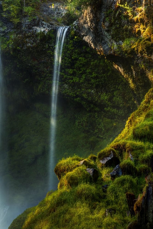 Picture of RIBBON FALLS