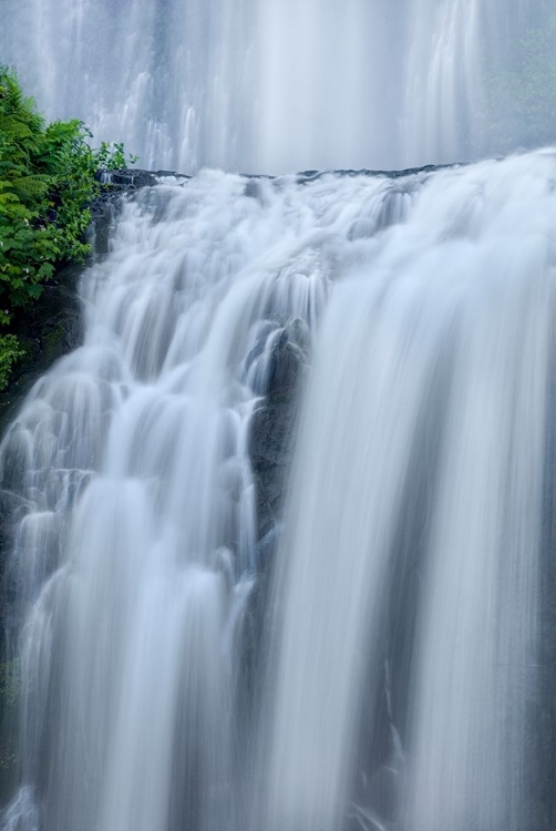 Picture of SHOWER CURTAINS