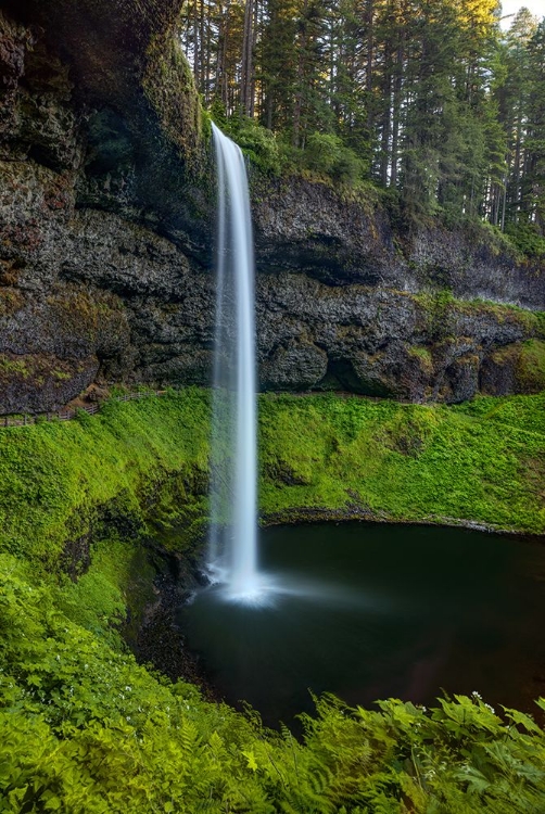 Picture of SILVER FALLS-OREGON 1