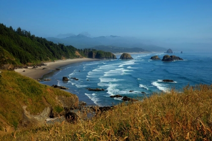 Picture of THE OREGON COAST