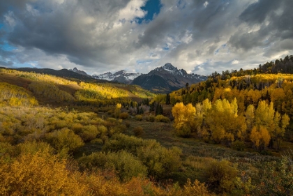 Picture of THE VALLEY OF AUTUMN LIGHT