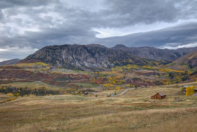 Picture of THE VALLEY OF GOLD