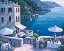 Picture of TIMELESS SPLENDOR