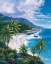 Picture of TROPICAL PARADISE 1