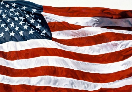 Picture of AMERICAN FLAG