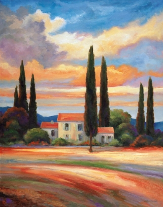 Picture of SUNSET IN PROVENCE