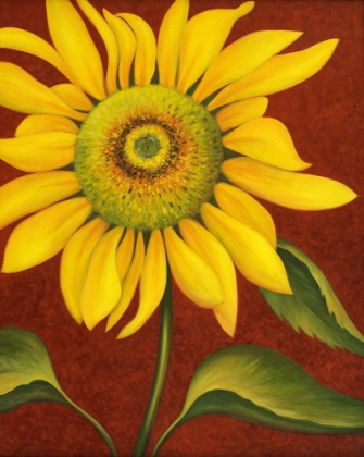 Picture of SUNFLOWER