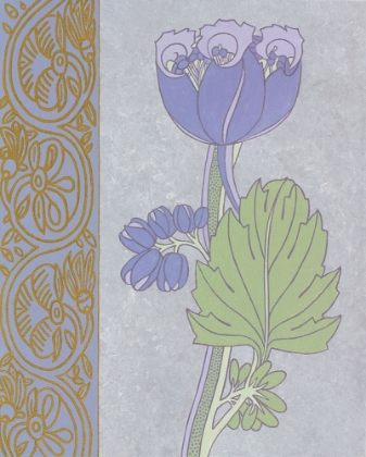 Picture of BLUE TULIP WITH LEFT BORDER